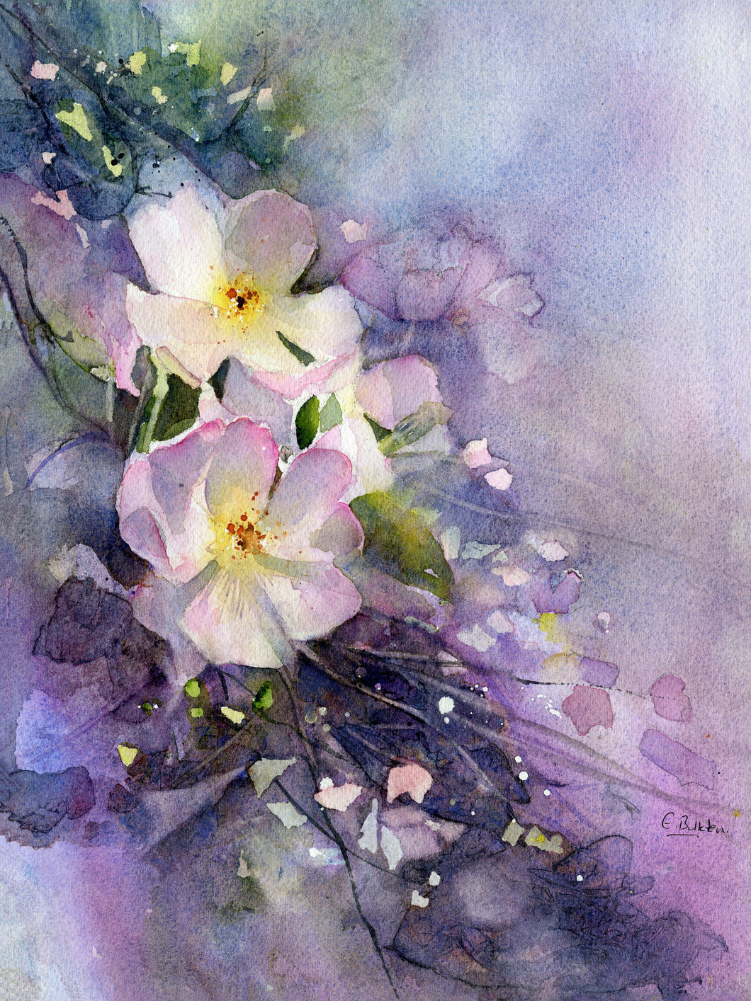 Garlant o Rosod Haf / A Garland of Summer Roses