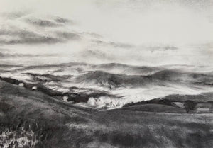 Y Cae Disglair I / The Bright Field I