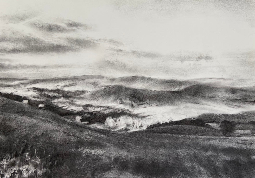 Y Cae Disglair I / The Bright Field I