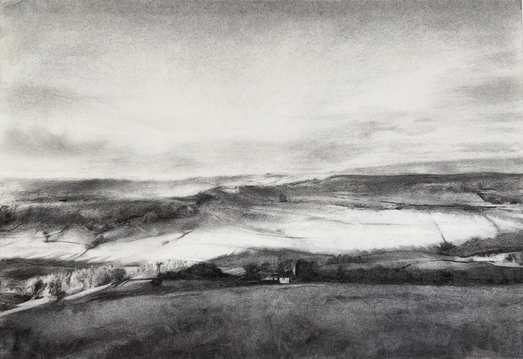 Y Cae Disglair II / The Bright Field II