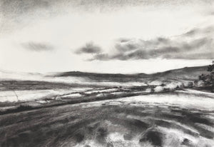 Y Cae Disglair III / The Bright Field III