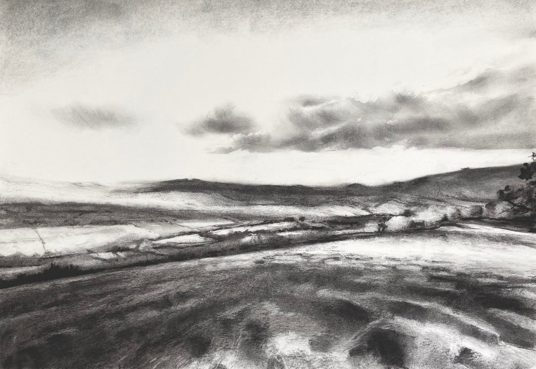 Y Cae Disglair III / The Bright Field III