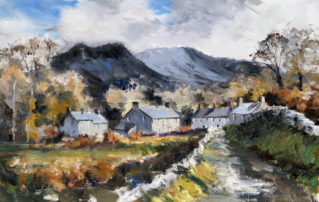 Hydref yn y Rhinogydd / Autumn in the Rhinogs