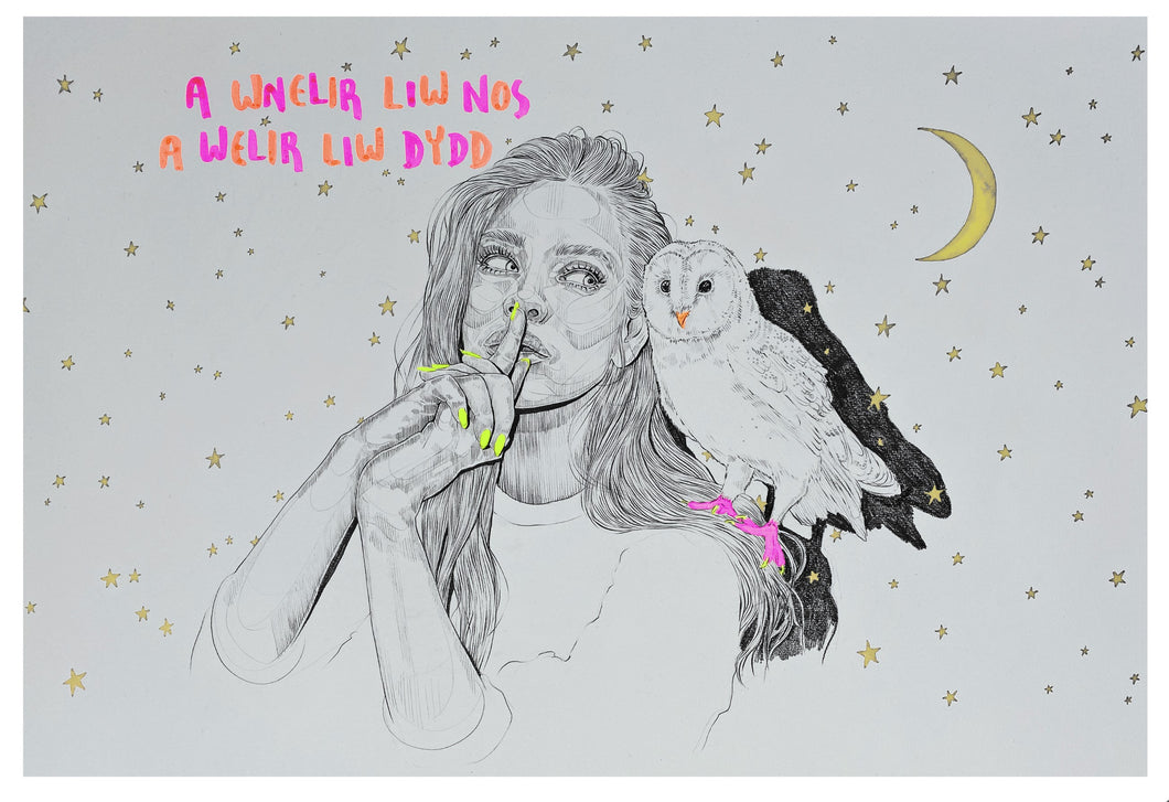 A Wnelir Liw Nos, A Welir Liw Dydd (What is Done by Night Shall Be Seen By Day)
