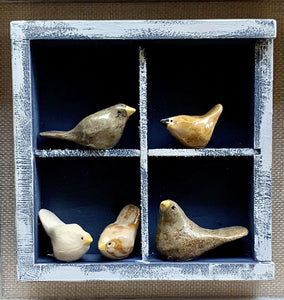Bocs Adar II / Bird Box II