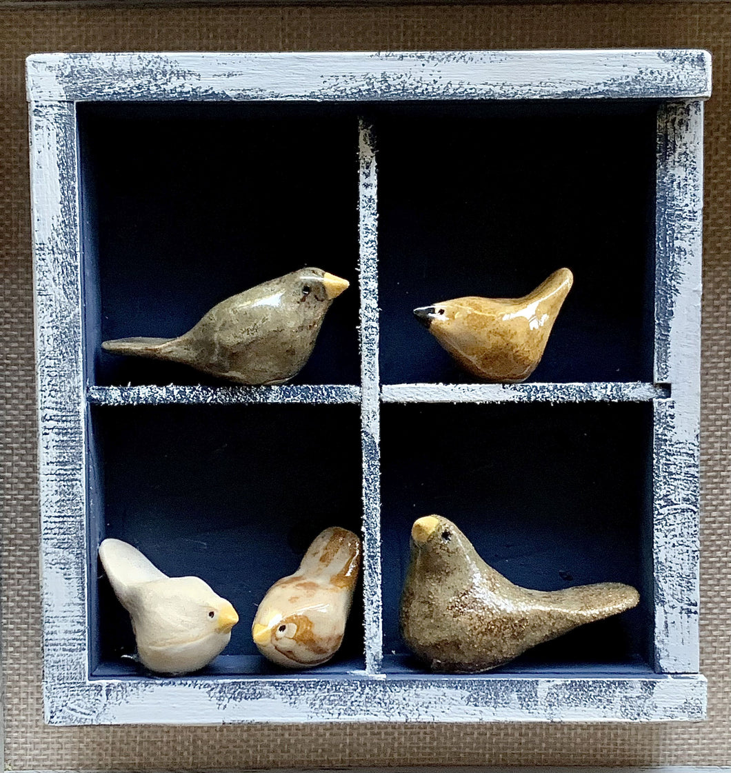 Bocs Adar II / Bird Box II