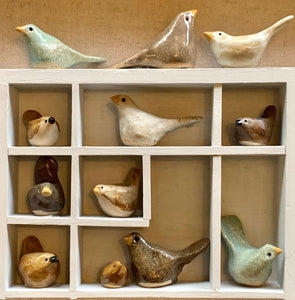 Bocs Adar / Bird Box