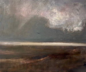 'Bird on the Winter Sea' (Ar ôl / After Brenda Chamberlain)