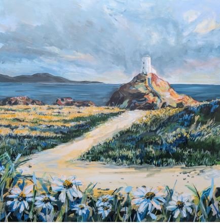 Llygad y Dydd, Llanddwyn / Daisies, Llanddwyn