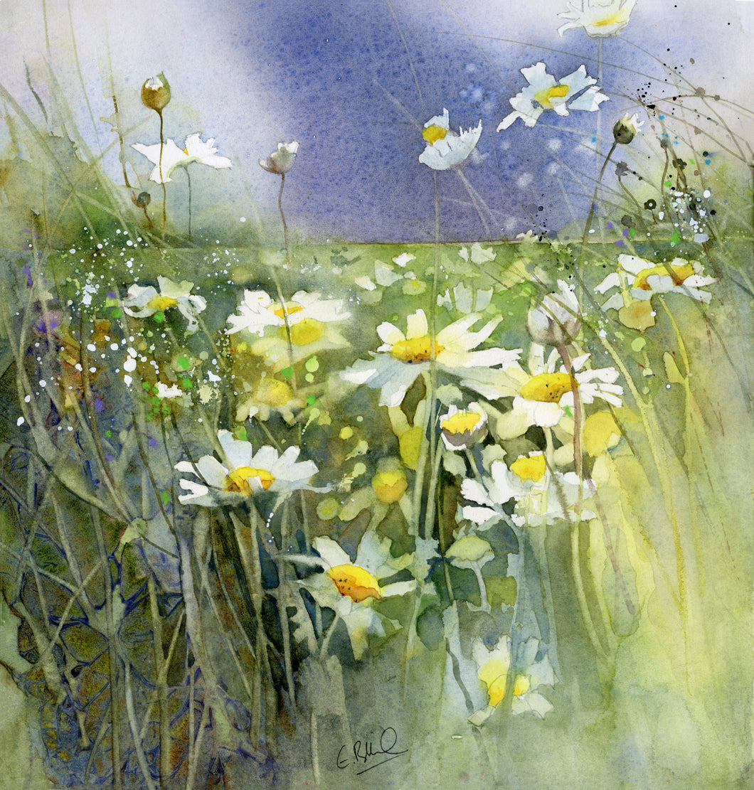 Cae o Freuddwydion / Field of Dreams