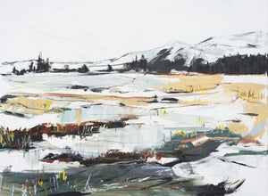 Caeau Barugog / Frosty Fields