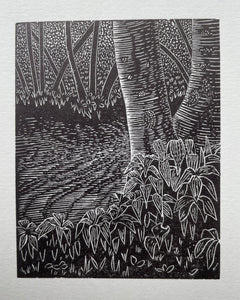 Gwanwyn / Spring
