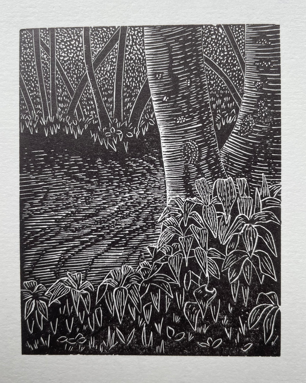 Gwanwyn / Spring