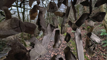 Load image into Gallery viewer, Darnau Pren Ffawydd (1) / Beech Wood Pieces (1) /
