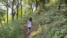 Load image into Gallery viewer, Darnau Pren Ffawydd (1) / Beech Wood Pieces (1) /
