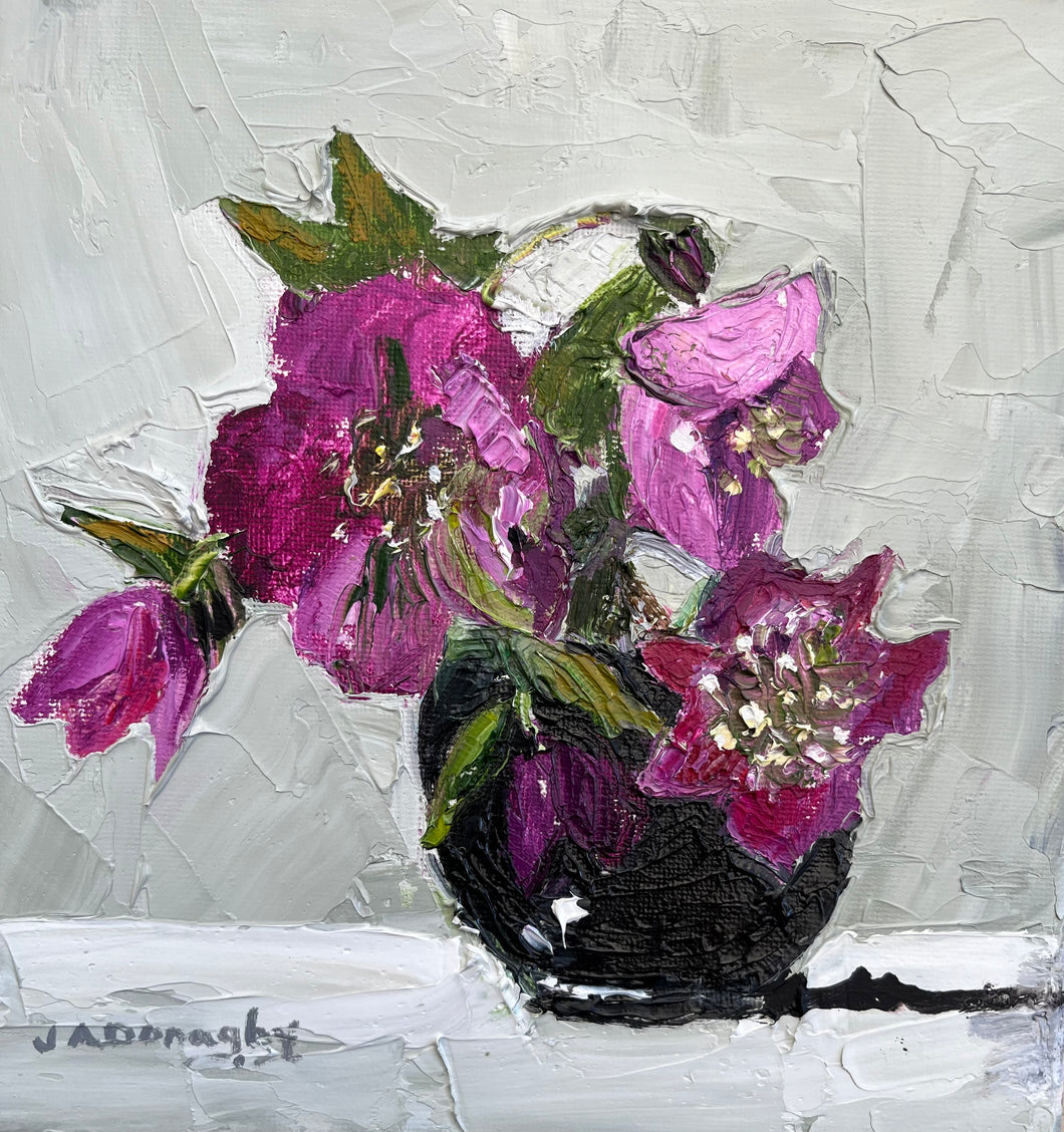 Crafanc-yr-arth o’r ardd / Hellebores from the garden
