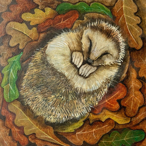 Draenog yn Cysgu / Sleeping Hedgehog