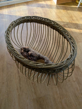 Load image into Gallery viewer, Lle i’r haul guddio (rhisgl) / A place for the sun to hide (bark)
