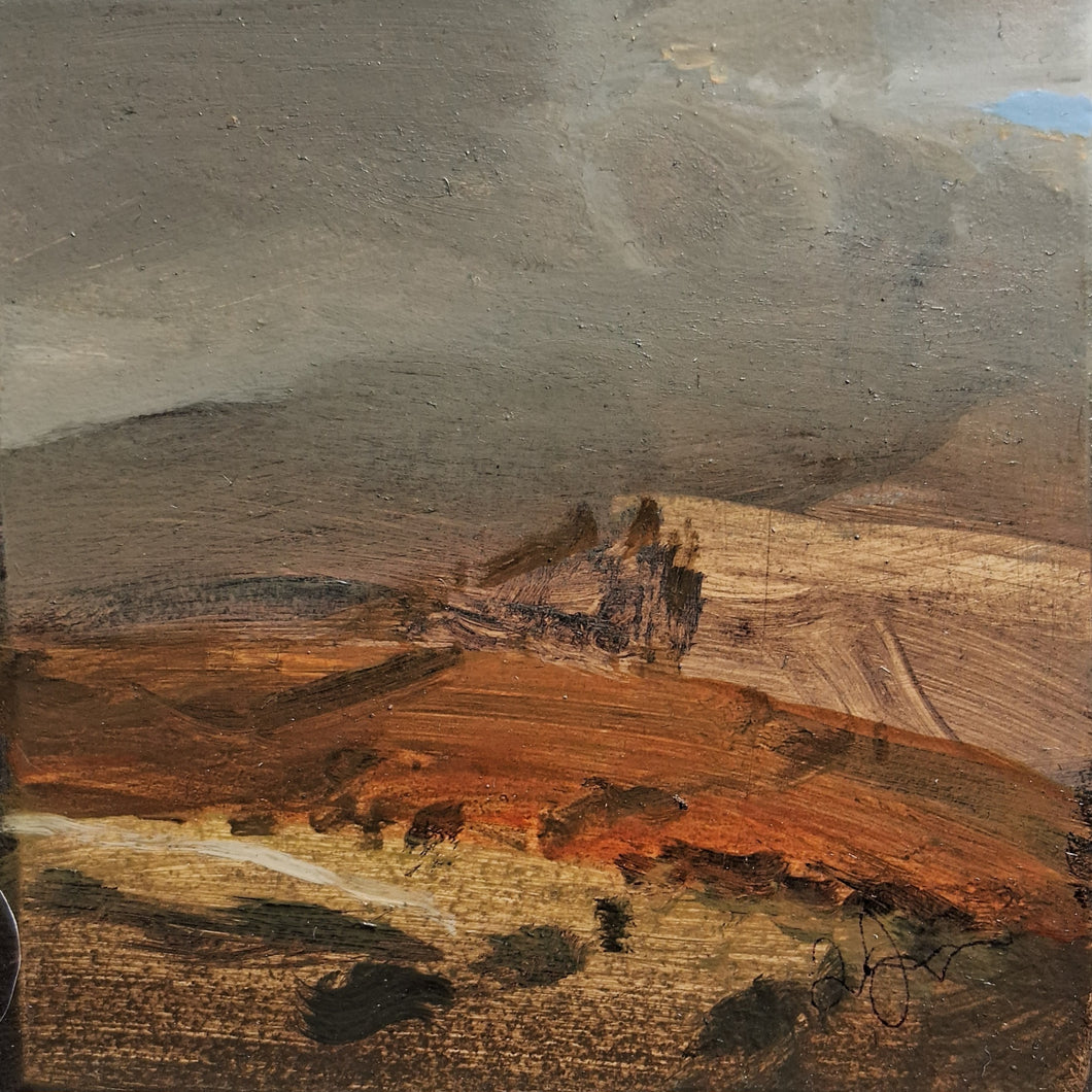 Rhostir Niwlog / Mist Laden Moor