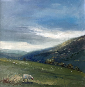 Golau Boreuol, Gyda Defaid / Morning Light, With Sheep