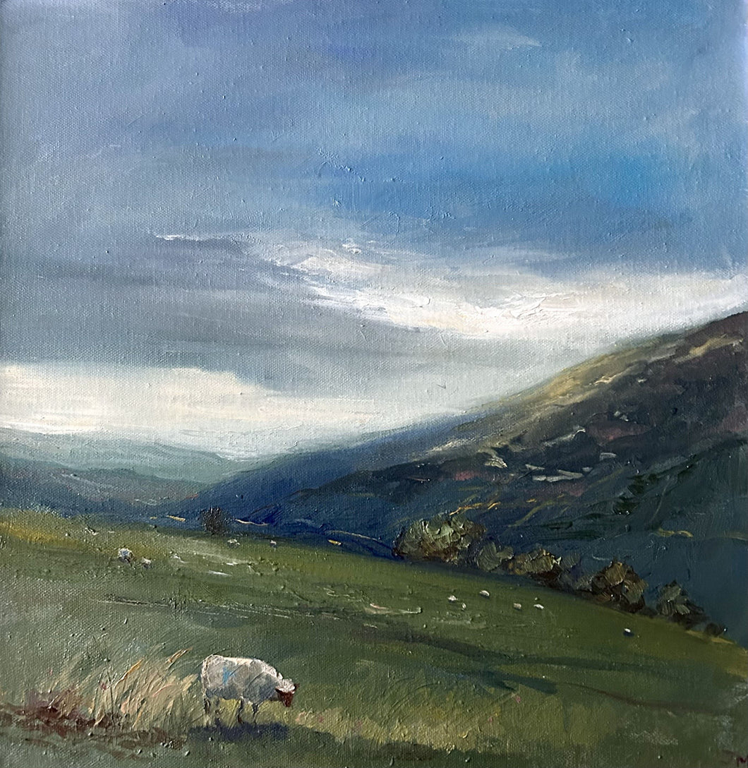 Golau Boreuol, Gyda Defaid / Morning Light, With Sheep