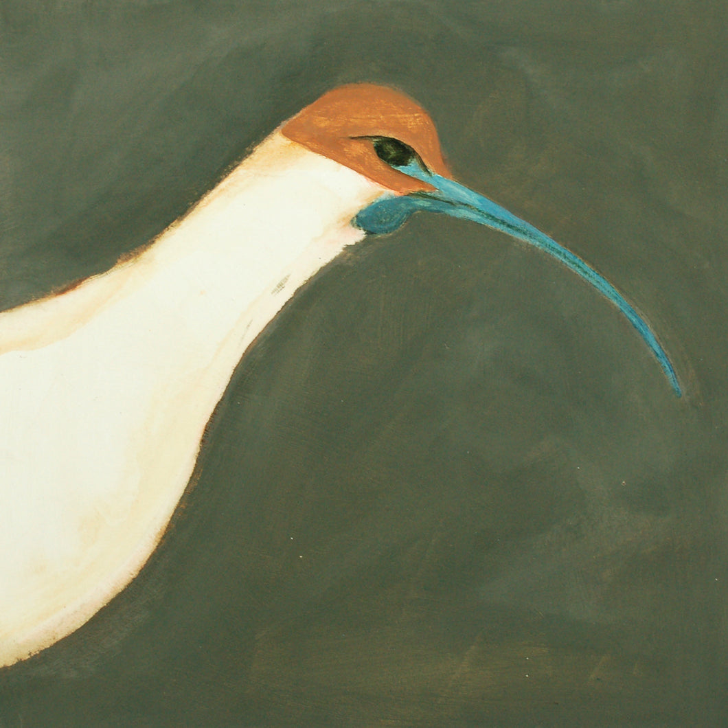 Lejuwa - Ibis gyddf-frown / Buff-necked Ibis II (heb ffrâm/unframed)