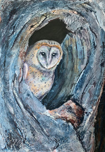 Tylluan Wen yn Nythu / Nesting Barn Owl