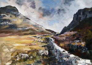 Hen Lwybr Porthmyn yn y Rhinogydd / Old Drover’s Track in the Rhinogs