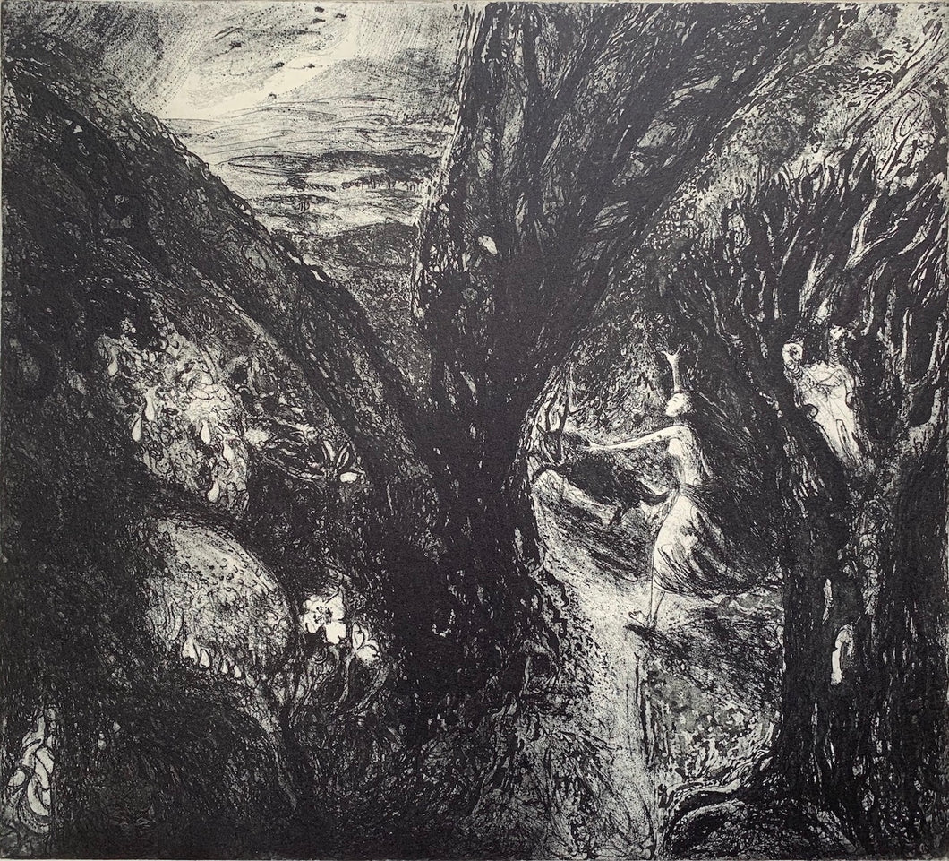 Allan o'r ardd / Out of the garden (hêb ffram/unframed)