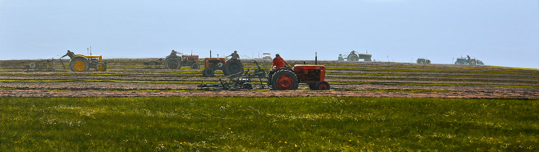 Ras Aredig 2. Niwl y Môr, Fferm Cim / Plough Race2. Sea Mist, Cim Farm