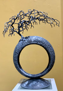 Porth 6, Coeden Bonsai / Portal 6, Bonsai Tree