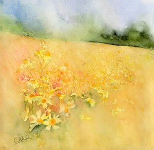 Cae o Greulys / Ragwort Field