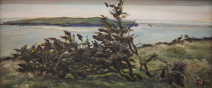 Eithin ar Arfordir Abersoch / Furze on Abersoch Coastline