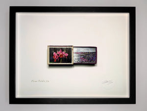 Caeau Blodau / The Flower Fields