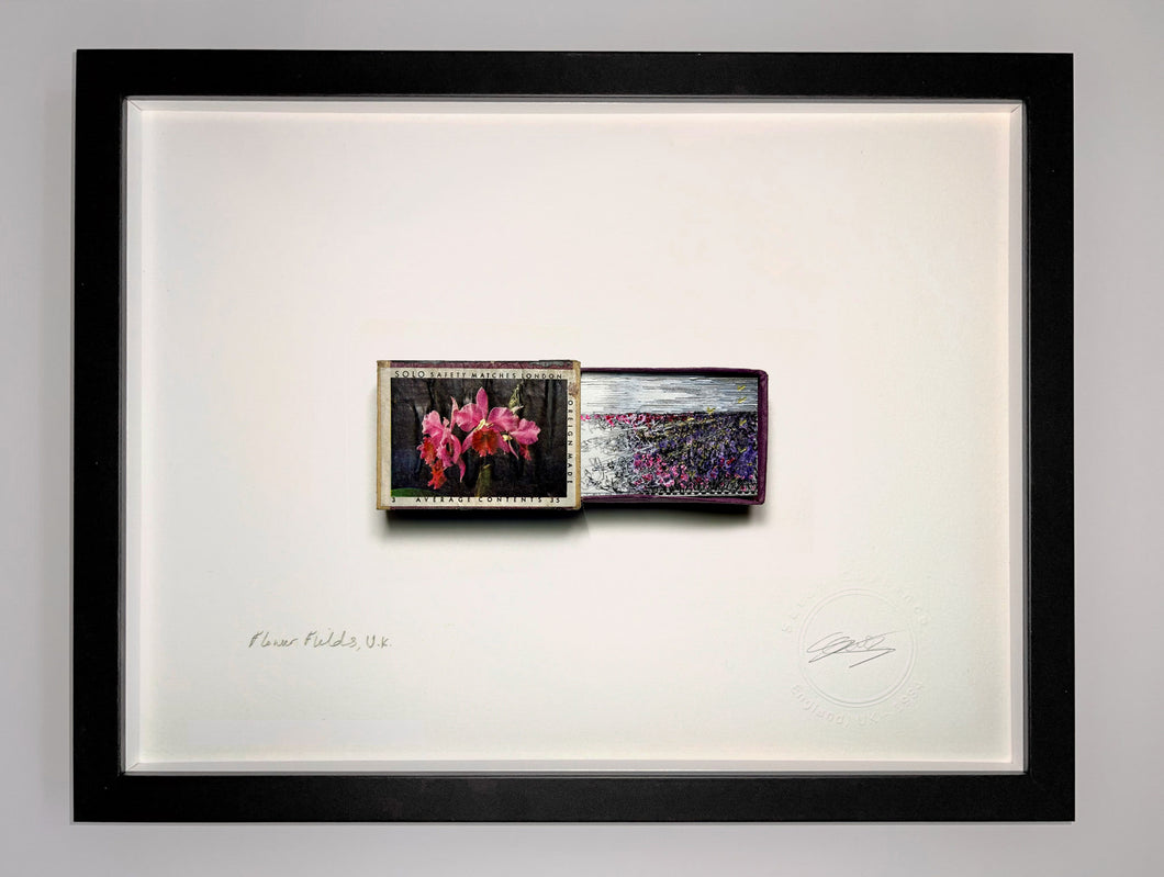 Caeau Blodau / The Flower Fields