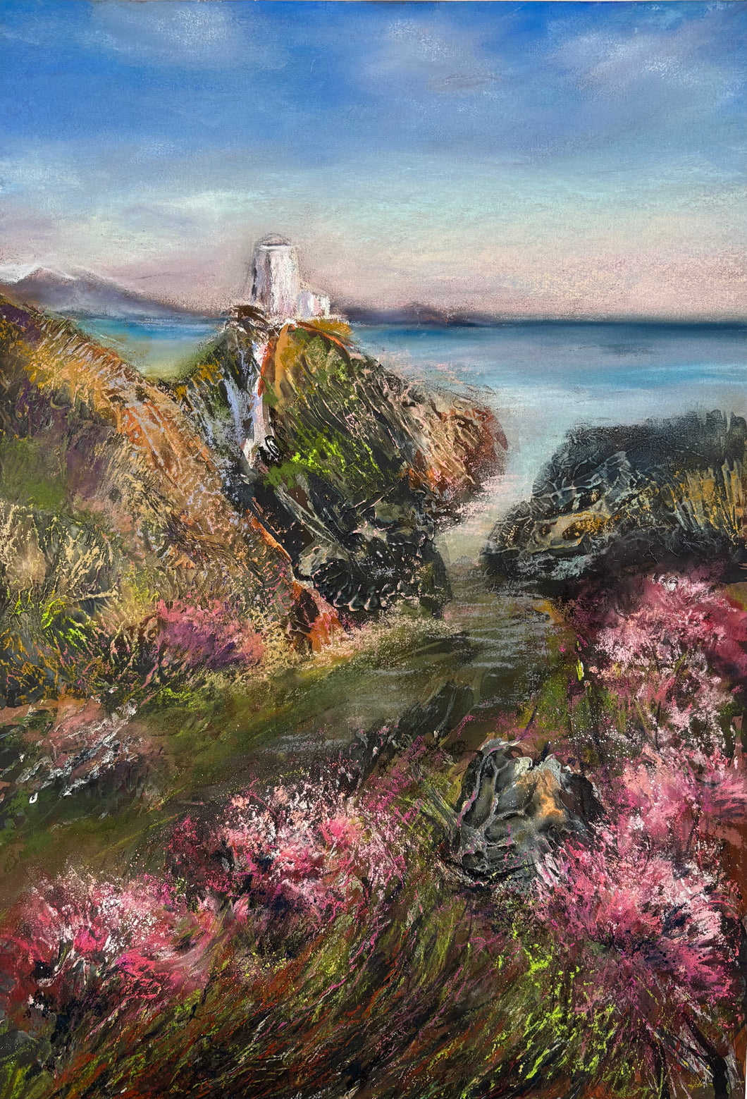 Clustog Fair yn Ynys Llanddwyn / Sea Thrift at Llanddwyn Island