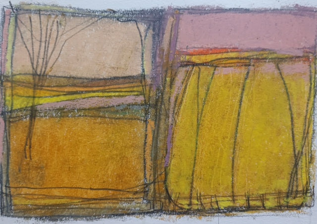 Caeau Medi / September Fields