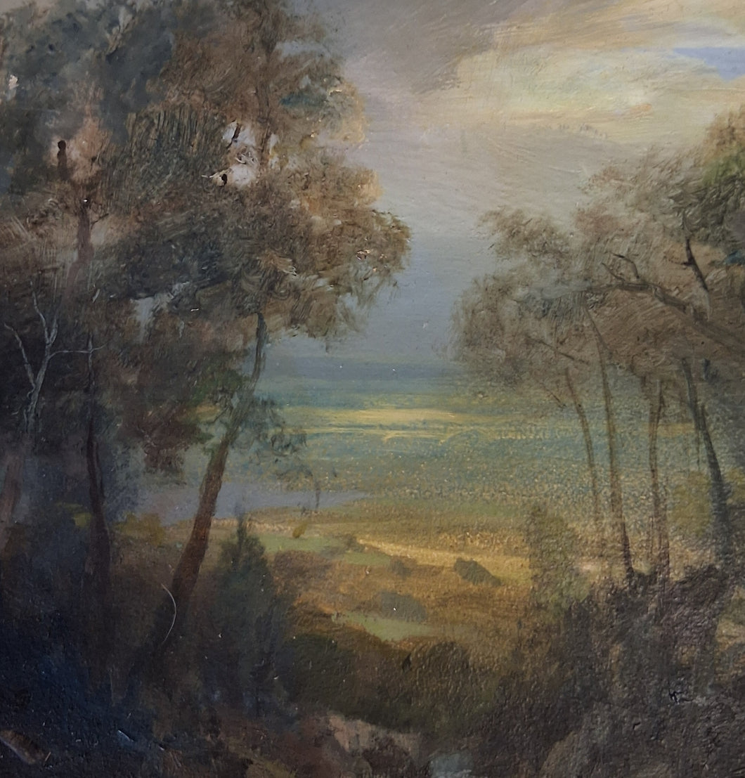 Golau Ysgafn Trwy’r Coed / Soft Light Through Trees