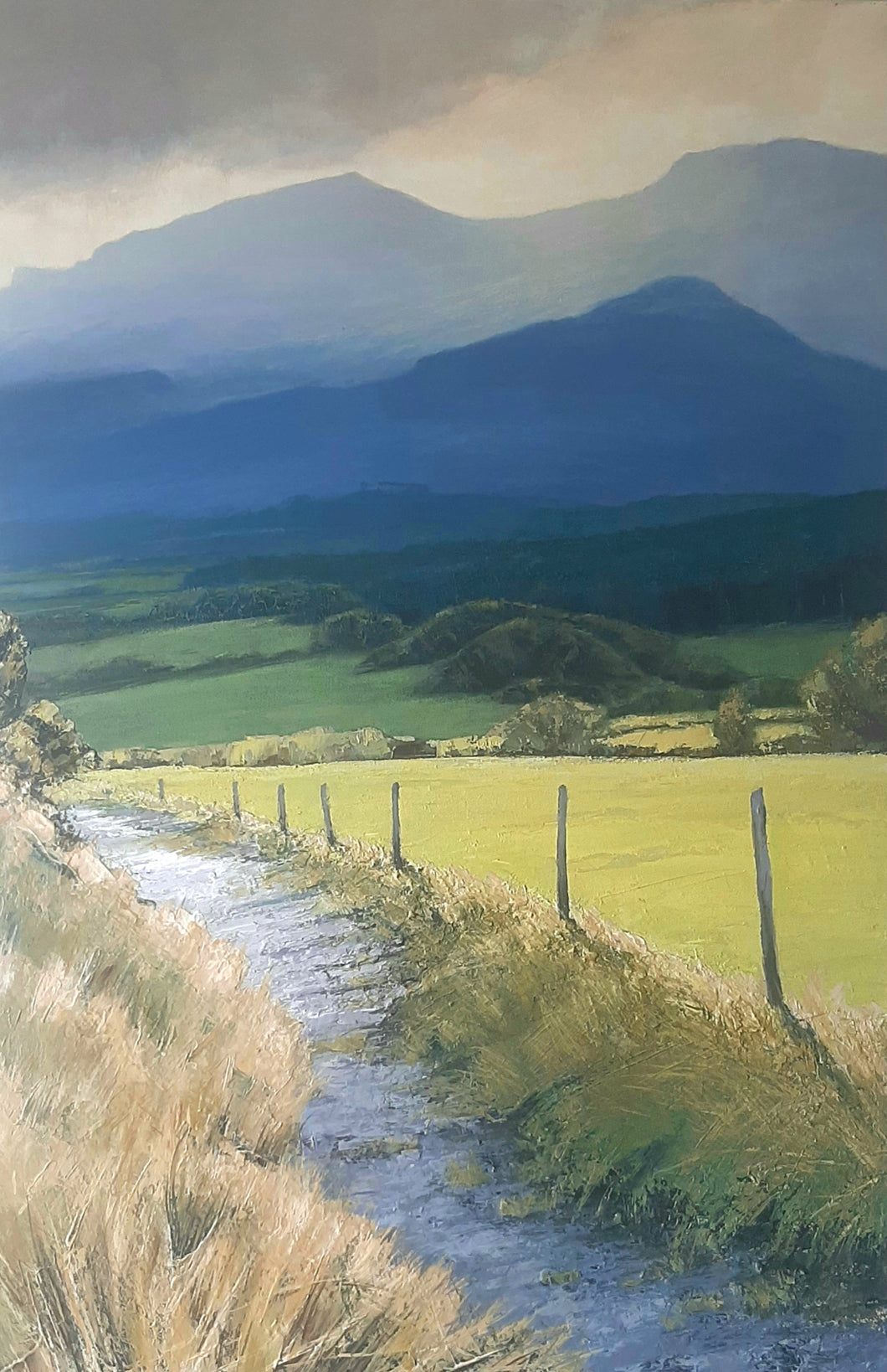 Porfeydd Heulog / Sunlit Pastures
