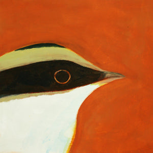 Isla Navarino Breuddwydio II/Dreaming II: Tachikáchina: Raiadito cynffonddreiniog / Thorn-Tailed Rayadito (unframed)