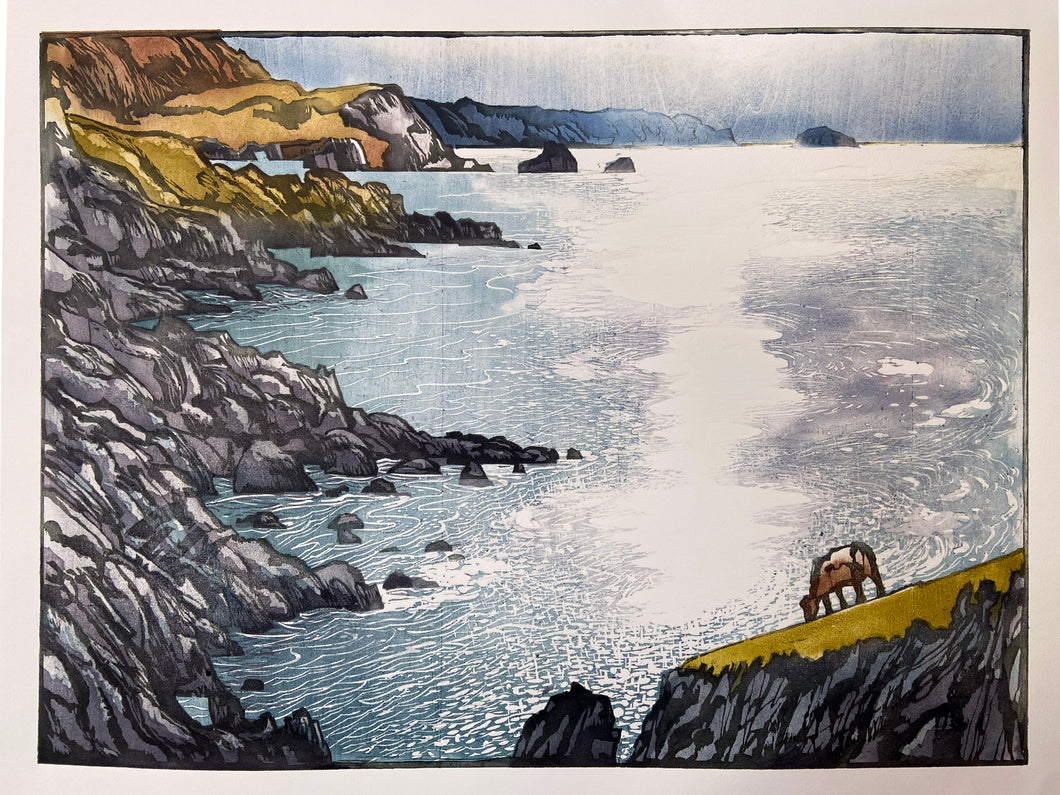 Y Môr Disglair / The Glittering Sea IX/XV
