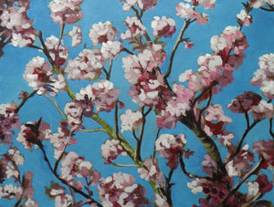 Optimisiaeth y Gwanwyn / The Optimism of Spring