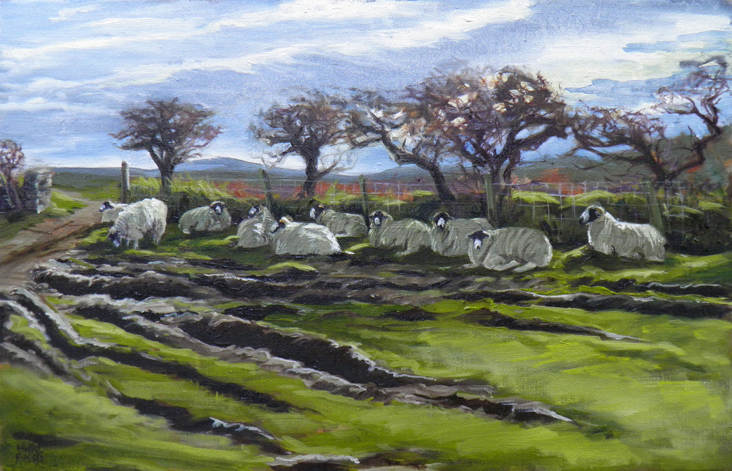 Olion y Gaeaf yma o hyd / Remnants of Winter still visible