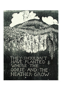 Noëlle Griffiths: 'They shouldn't have planted....'