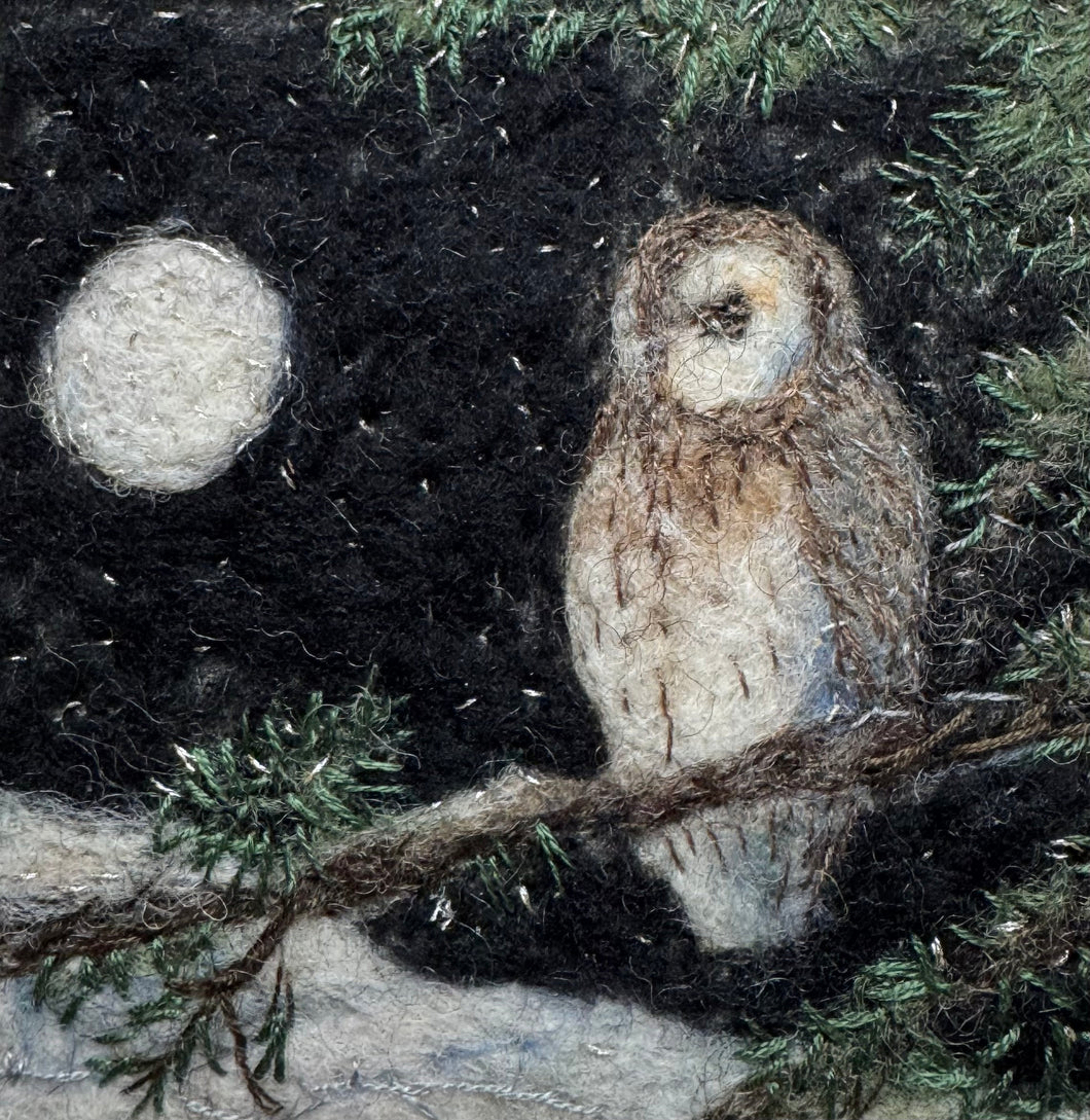 Tylluan / Owl
