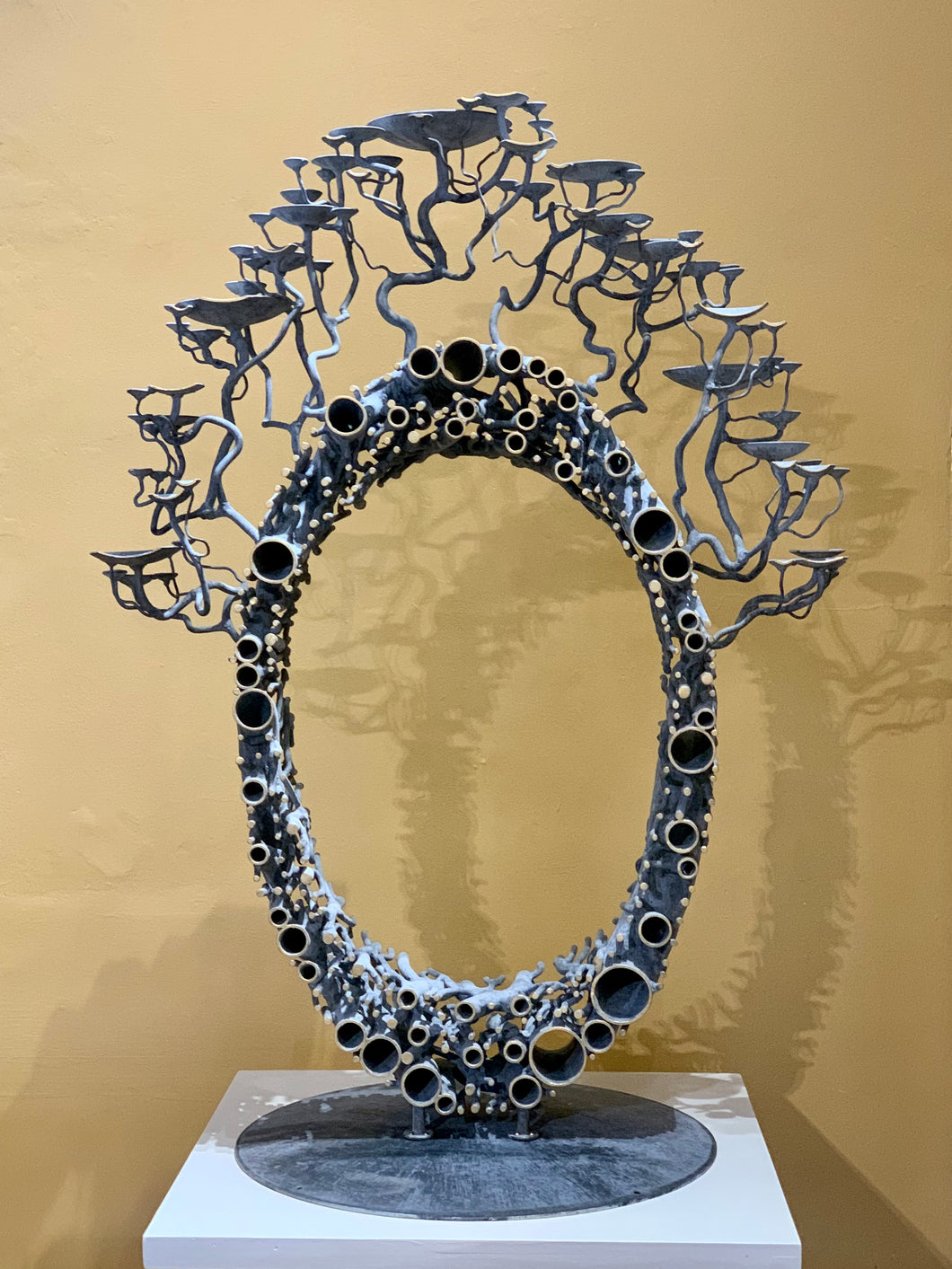 Bwndel Fasgwlaidd / Vascular Bundle