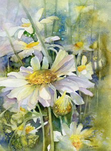 Lle tŷf y Blodau Llo Mawr / Where Marguerites Grow