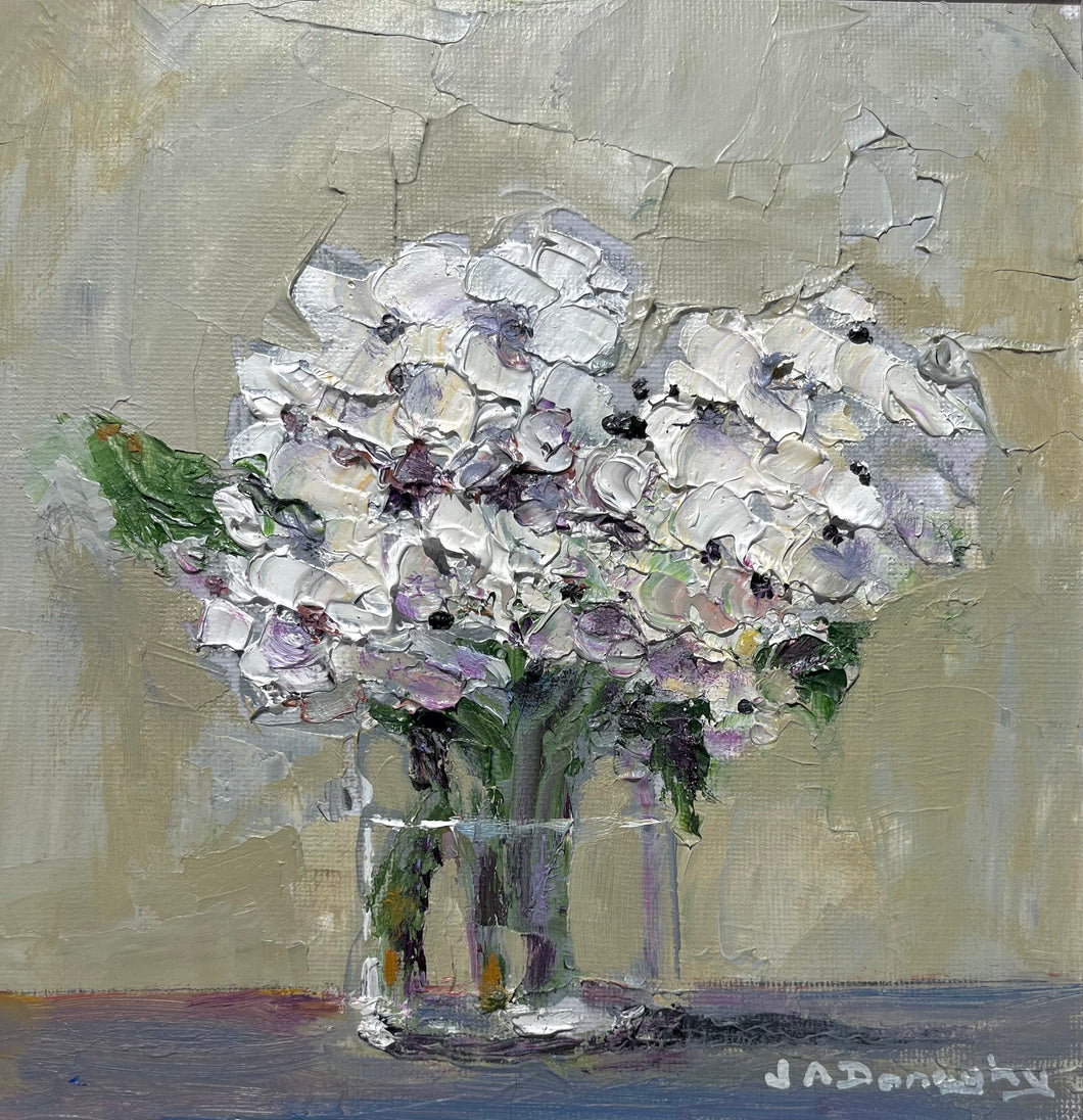 Tri Lliw ar Ddeg Gwyn / White Hydrangea