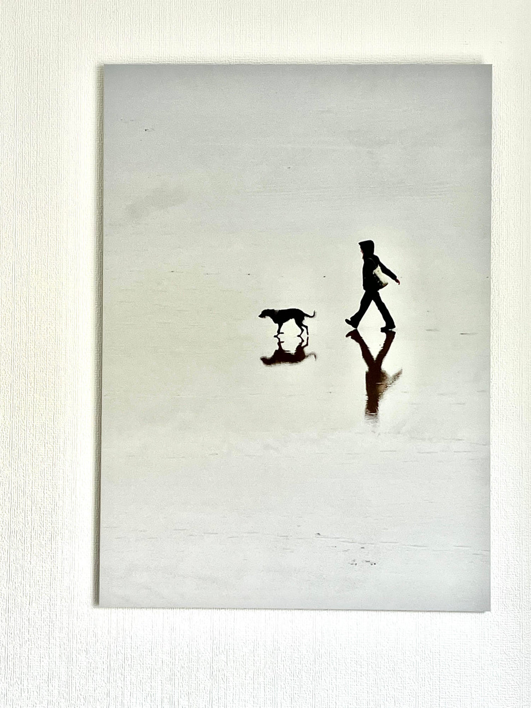 Y ci a fi / The dog and me
