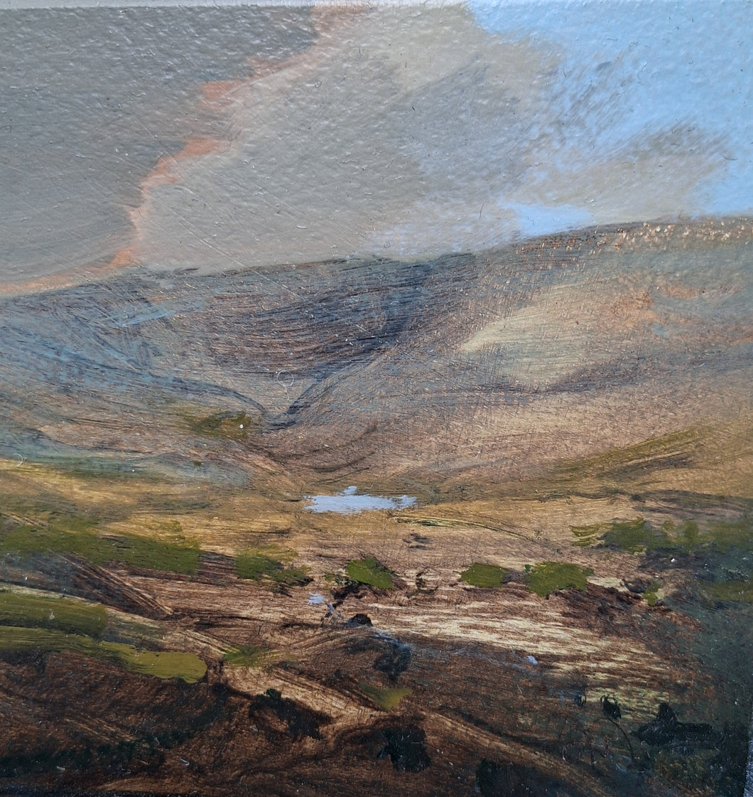 Llyn Bychan yn Nythu / Nestling Tarn